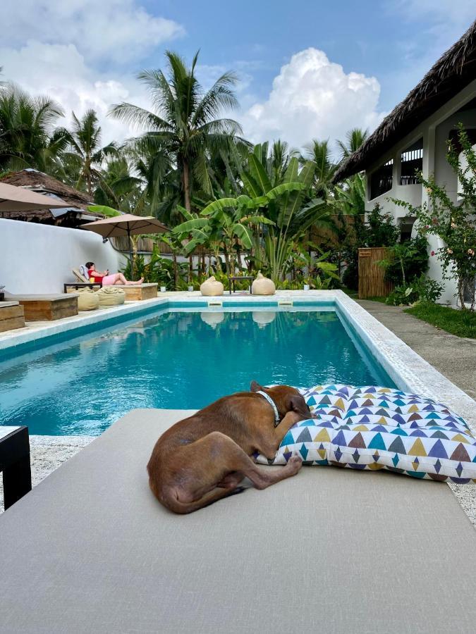Parrots Boutique Resort San Vicente (Palawan) Exterior foto